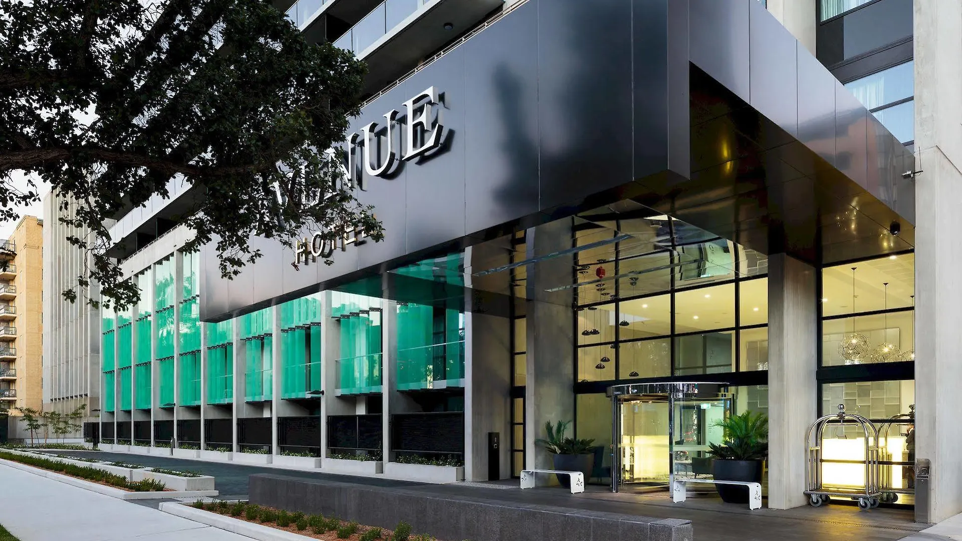 Avenue Hotel Канберра